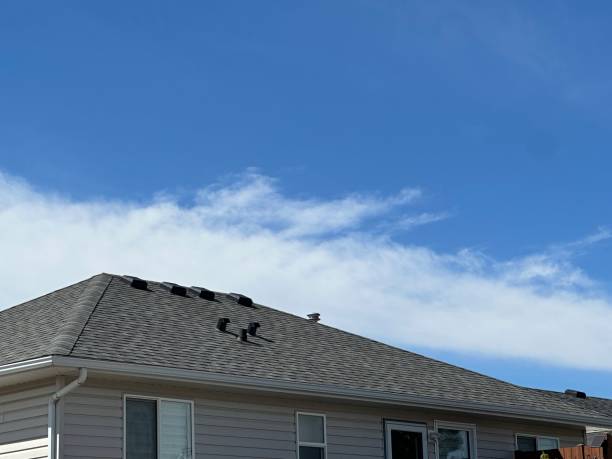 Best Steel Roofing  in Summit, IL